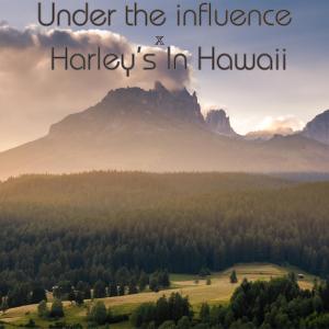 ดาวน์โหลดและฟังเพลง Under the influence x Harley's in Hawaii (sped up to perfection) พร้อมเนื้อเพลงจาก p11