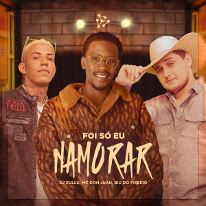 ดาวน์โหลดและฟังเพลง Foi Só Eu Namorar (Explicit) พร้อมเนื้อเพลงจาก DJ Zullu