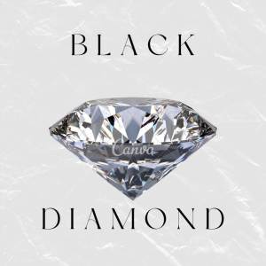 Truth的專輯BLACK DIAMOND