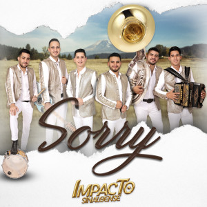 Dengarkan Sorry lagu dari Impacto Sinaloense dengan lirik