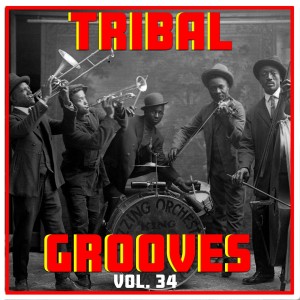 Umar M Sharif的专辑Tribal Grooves Vol. 34