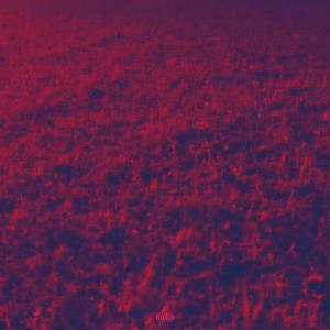 Listen to idc (Explicit) song with lyrics from $K0