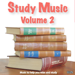 Listen to Relaxing Study Music song with lyrics from Study Music