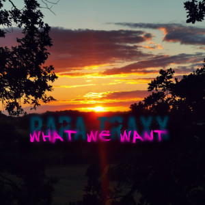Listen to What We Want song with lyrics from Para Traxx