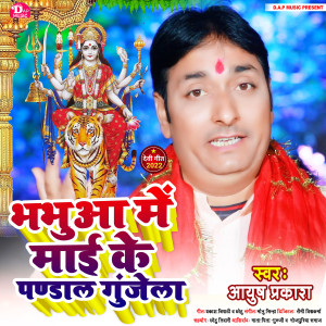 Ayush Prakash的專輯Bhabua Me Mai Ke Pandal Gunjela