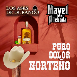 Listen to Esta Tristeza Mia (Norteño) song with lyrics from Mayel y Su Plebada