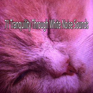 收听Nature Sound Series的Silky Smooth Sleep.歌词歌曲