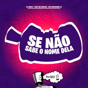 收聽DJ BRIZY的Se Não Sabe O Nome Dela (Explicit)歌詞歌曲
