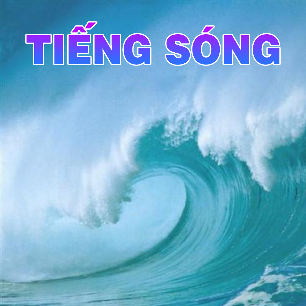 Họa mi hót trong mưa