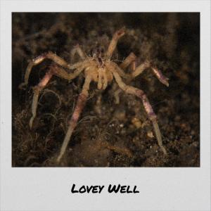 Various的专辑Lovey Well