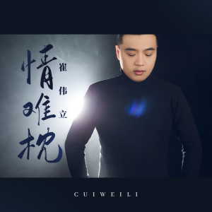 收聽崔偉立的情難枕 (DJ光音坊版)歌詞歌曲
