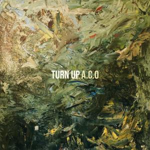 Listen to Turn Up song with lyrics from A.C.O