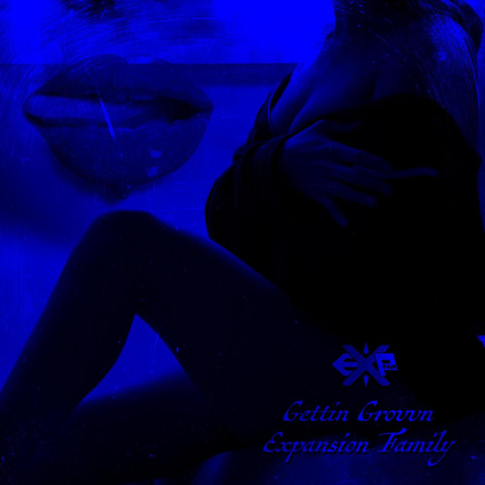 Gettin Grovvn (feat. Skunky Pooella, O.G. Breed, DestheProvider, BroRoc & Elric Virtuoso) (Explicit)