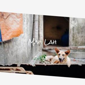 Dengarkan Legitimately Should lagu dari Loick Baren dengan lirik