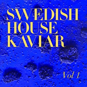 Album Swedish House Kaviar oleh Various Artists