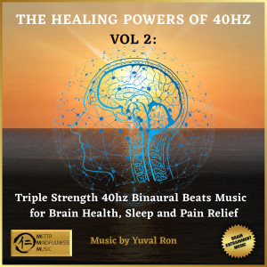 Yuval Ron的專輯The Healing Power Of 40 Hz - Vol. 2