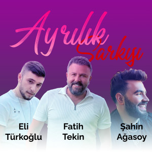 Listen to Ayrılık Şarkısı song with lyrics from Fatih Tekin