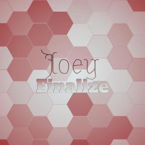 Album Joey Finalize from Various