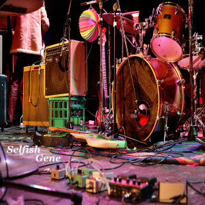 Dengarkan lagu Selfish Gene, Pt. 2 nyanyian Selfish Gene dengan lirik