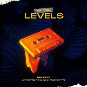 อัลบัม LEVELS ศิลปิน ดารานักร้องหลายคน