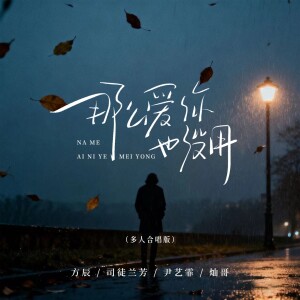 Album 那么爱你也没用（大合唱版） from 方辰