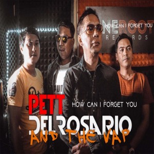 ดาวน์โหลดและฟังเพลง How Can I Forget You พร้อมเนื้อเพลงจาก Pett Del Rosario and the Vap