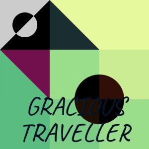 Various Artists的專輯Gracious Traveller