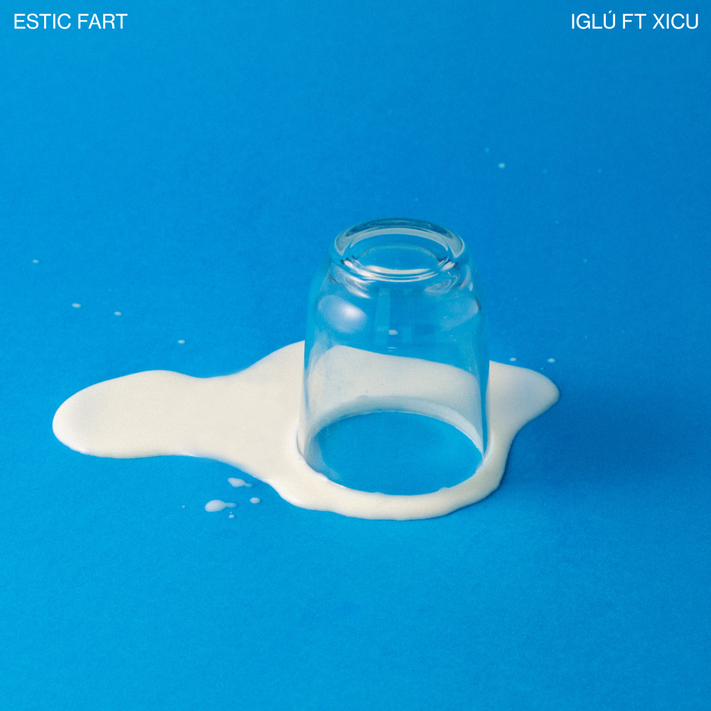 Estic fart