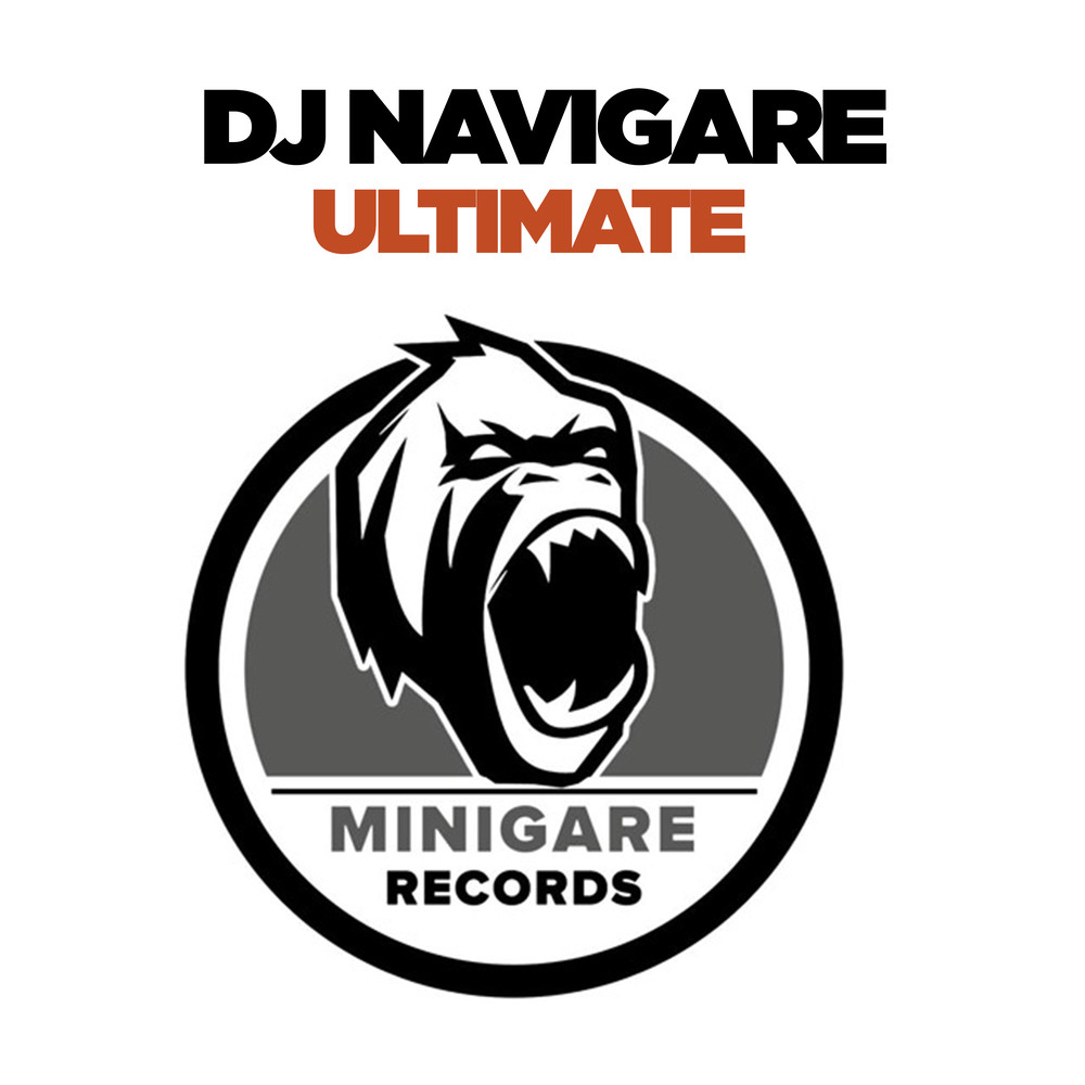 DJ Navigare (Original Mix)