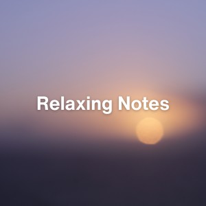 Zen Sounds的專輯Relaxing Notes