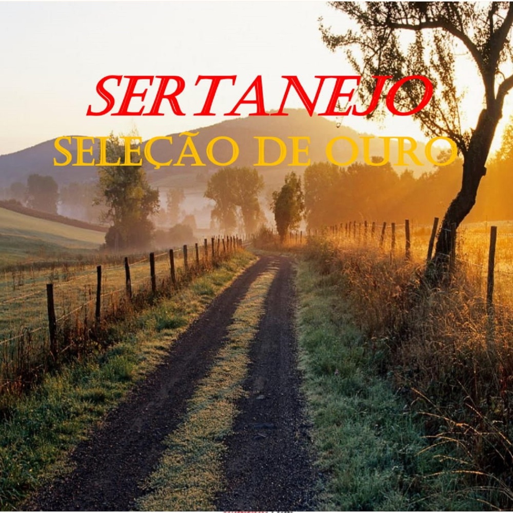 Festa Paraguaia