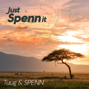 Tuug的專輯Just Spenn It