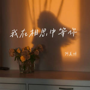 Listen to 我在相思中等你 song with lyrics from 阿美呀
