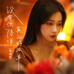收聽王晴的沒有你陪伴真的好孤單 (粵語版)歌詞歌曲