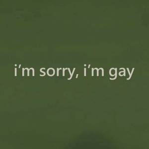 I'm Sorry, I'm Gay