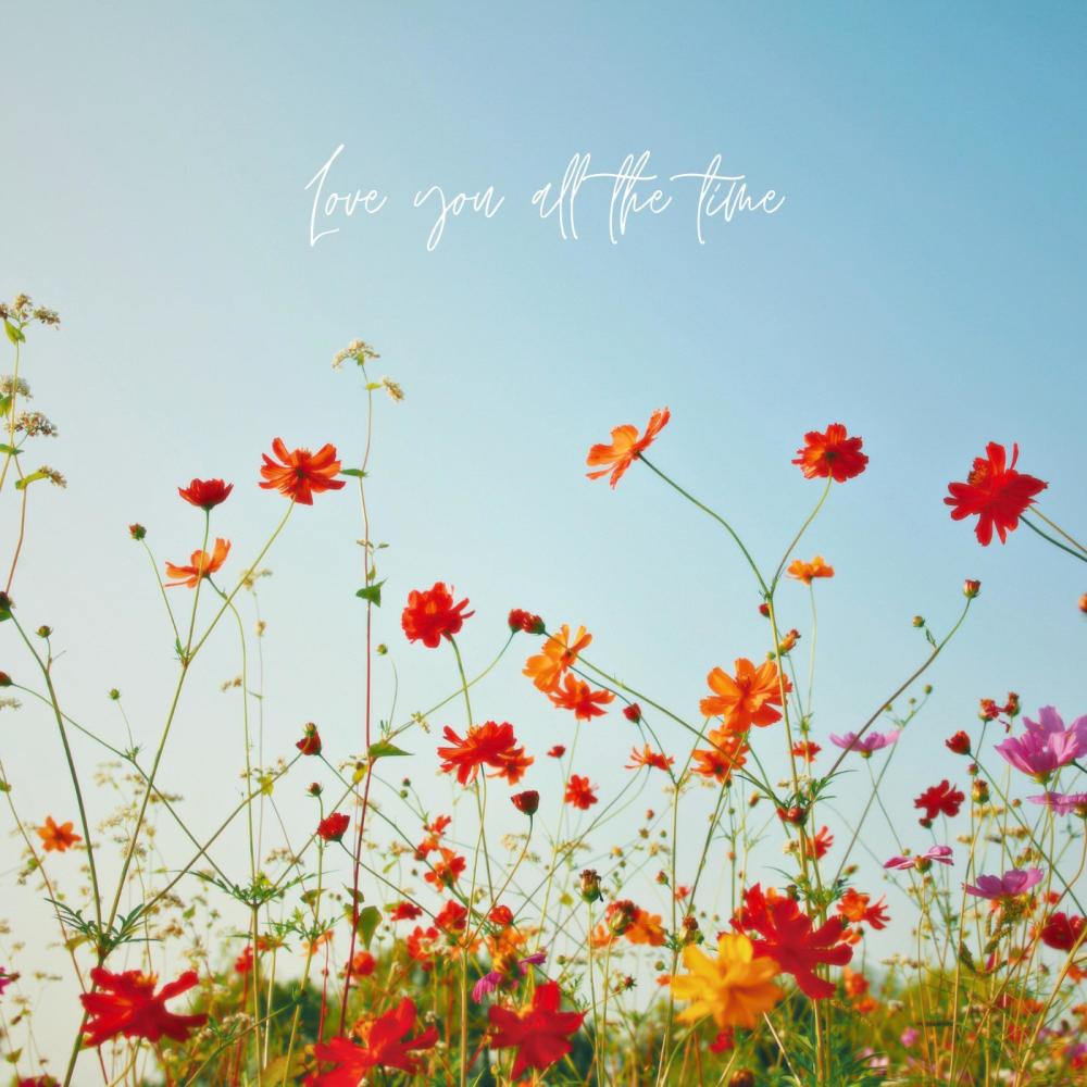 Love You All The Time (feat. Lainey Dionne)