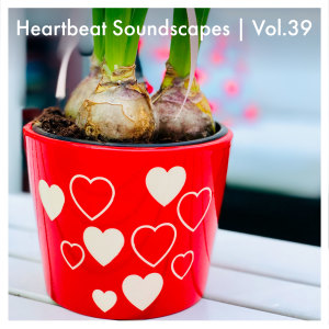 Album Heartbeat Soundscapes, Vol. 39 from Various