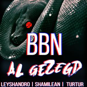 Listen to Al gezegd(feat. Leyshandro, TurTur & Shamilean) song with lyrics from BBN