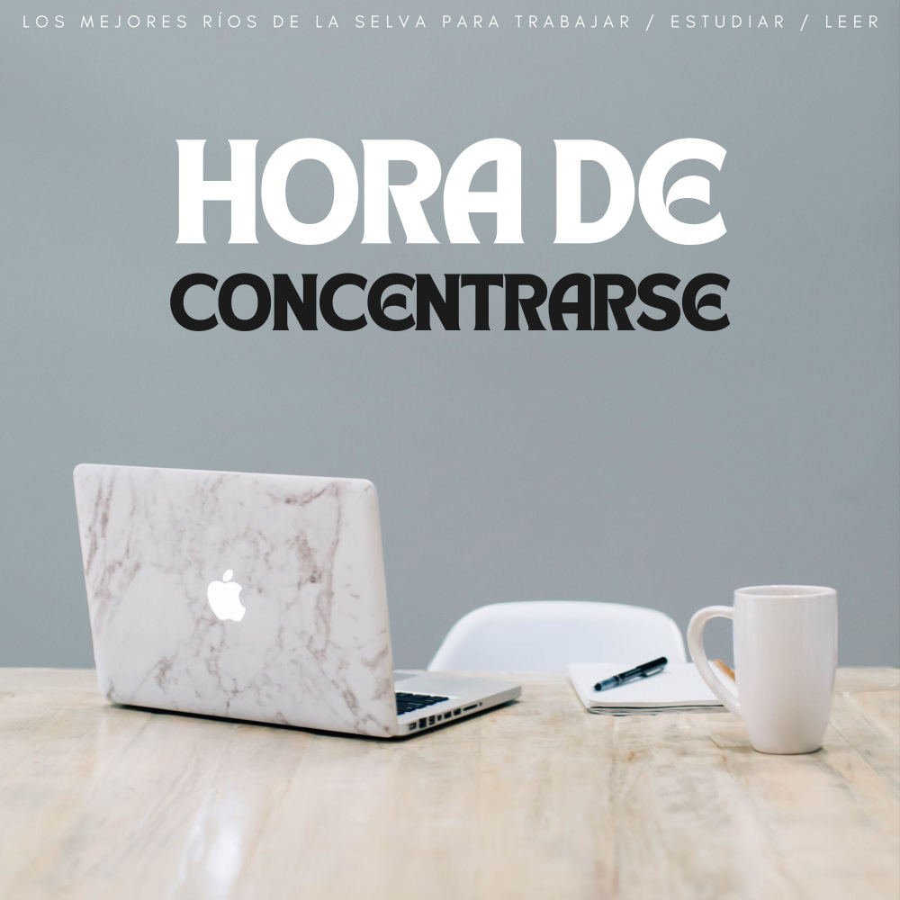 Última Tarea