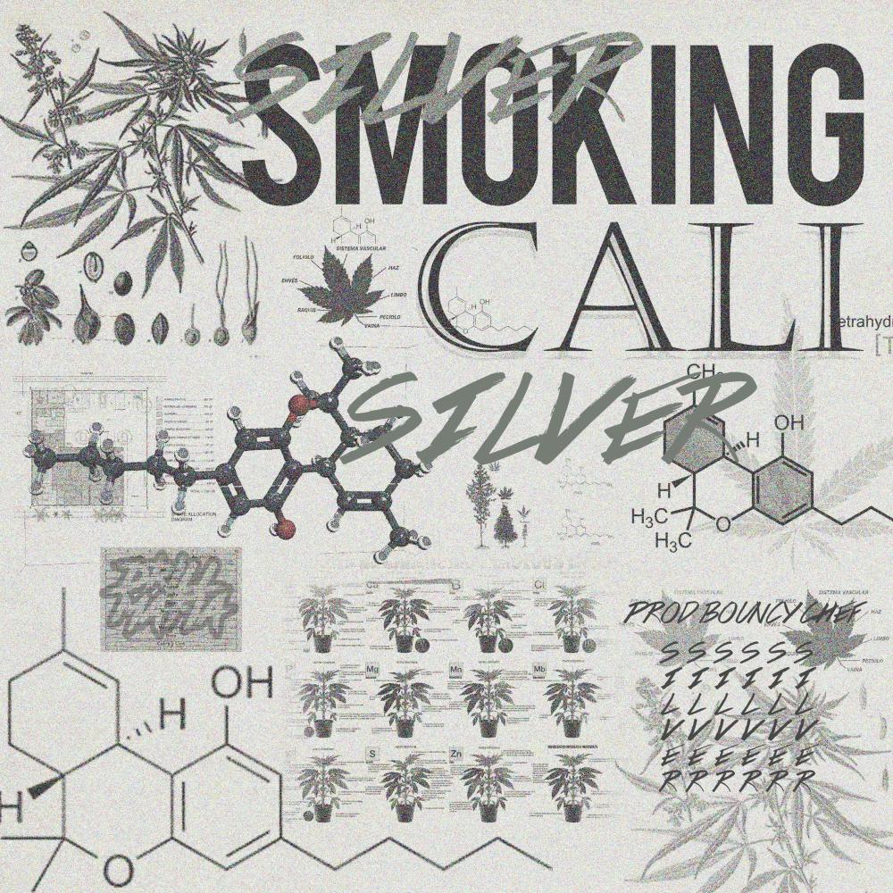 Smoking Cali (Explicit)