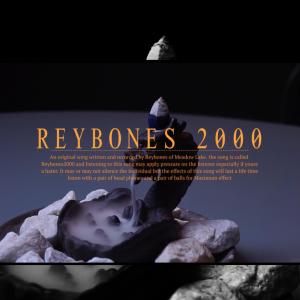 ดาวน์โหลดและฟังเพลง reybones2000 (Explicit) พร้อมเนื้อเพลงจาก Reybones