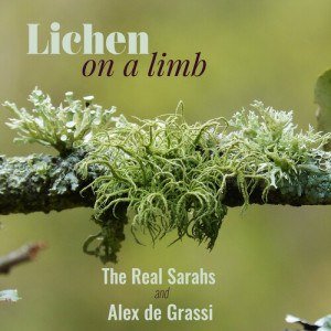 Album Lichen on a Limb from 