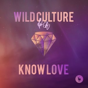 ดาวน์โหลดและฟังเพลง Know Love (feat. Chu) [Extended Mix] (Extended Mix) พร้อมเนื้อเพลงจาก Wild Culture