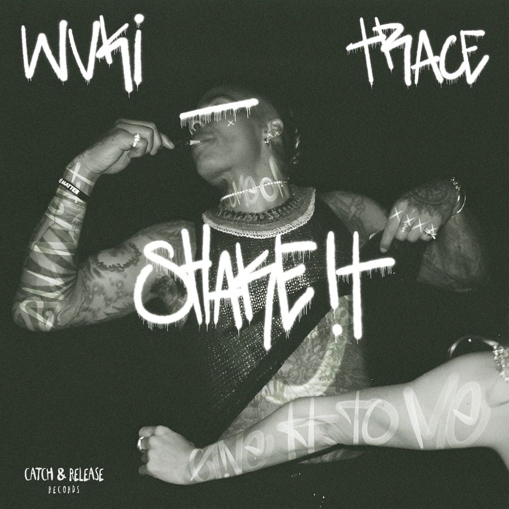Shake It (Explicit)