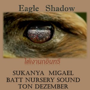 อัลบัม ใต้เงานกอินทรี (Eagle Shadow) Feat.Batt Nursery Sound, Ton Dezember ศิลปิน สุกัญญา มิเกล
