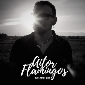 Listen to De Ser Así (Speaket Session) song with lyrics from Aitor Flamingos