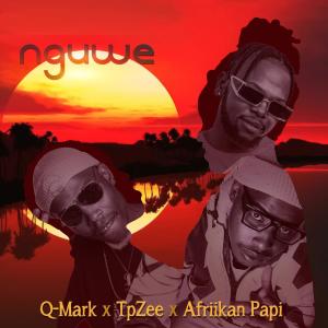 Afriikan Papi的專輯Nguwe