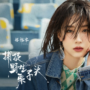 收聽張雅卓的捕捉野生栗子頭歌詞歌曲