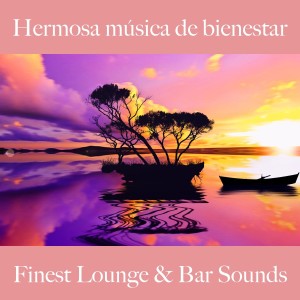 Album Hermosa Música de Bienestar: Finest Lounge & Bar Sounds from 