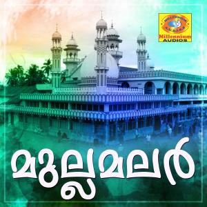 ดาวน์โหลดและฟังเพลง Alia พร้อมเนื้อเพลงจาก Rijiya